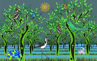 Jacana Jacana, música, arte y educación por nuestros ecosistemas