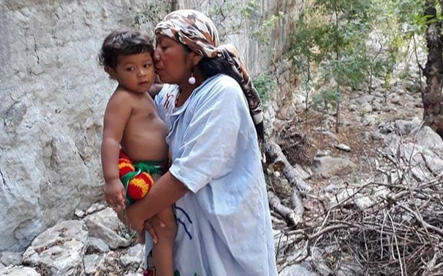 Entre la mama y el teküin, una experiencia sobre lactancia y lengua
