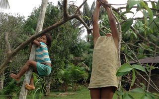 Educación indígena propia y concepciones de arte
