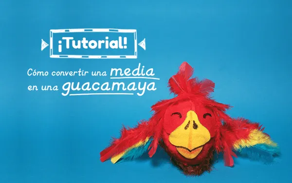 Tutorial – ¿Cómo convertir una media en una guacamaya?