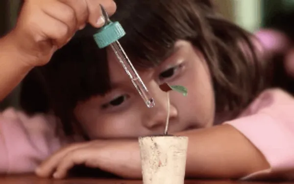 Más contenidos de Maguaré en internet para hablarle a los niños sobre sus derechos