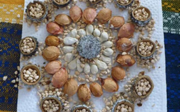 ¿Qué hacer con lo que no nos podemos comer?